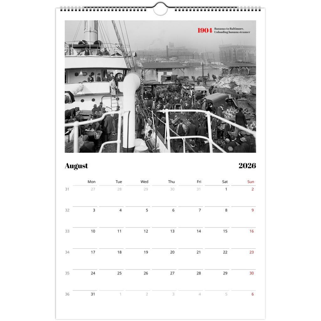 50ffbfc0-5205-438c-b947-4cac6717850a